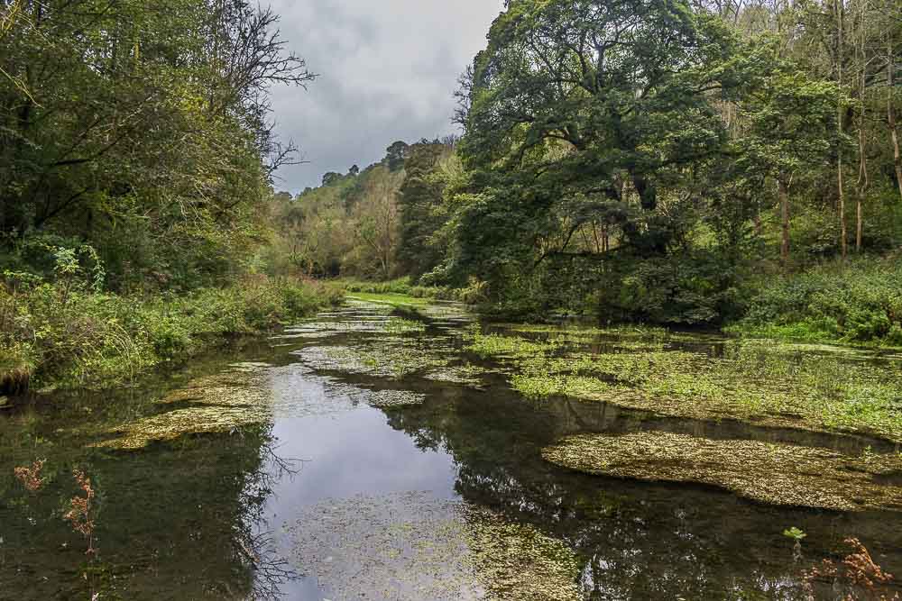 River Bradford River Bradford